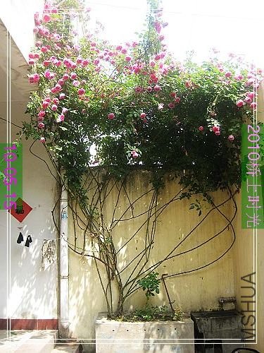 nEO_IMG_��Ƭ 152.jpg