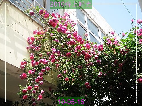 nEO_IMG_��Ƭ 166.jpg