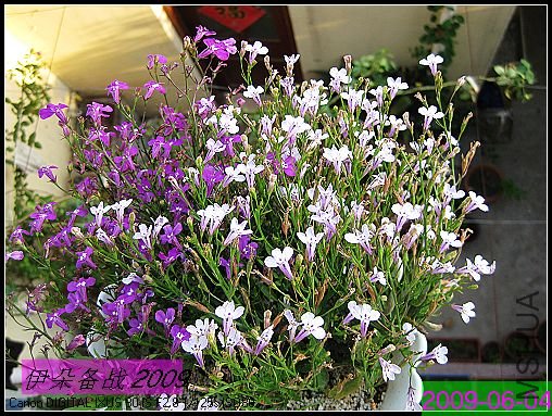 nEO_IMG_��Ƭ 003.jpg