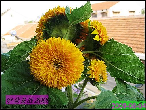 nEO_IMG_��Ƭ 001.jpg