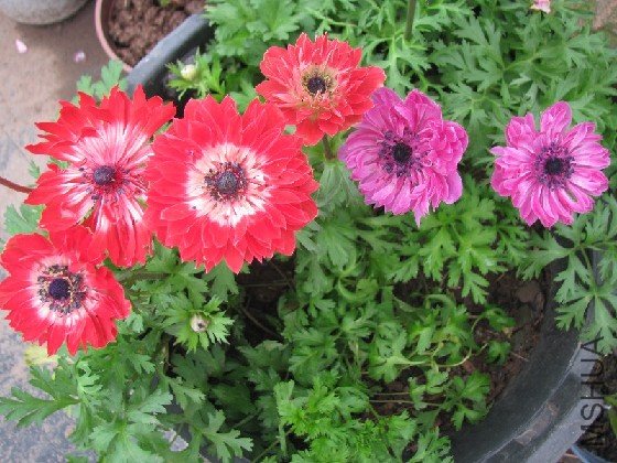 BigBull_BigBull_��Ƭ 048.jpg