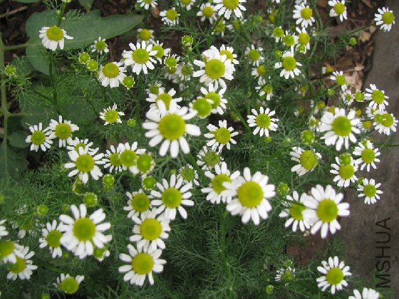 BigBull_BigBull_��Ƭ 015.jpg