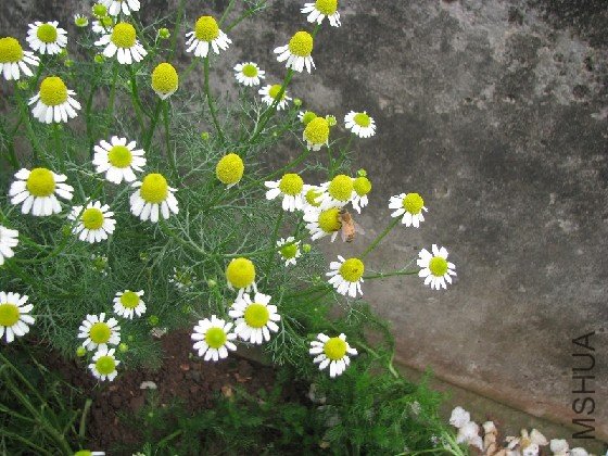 BigBull_BigBull_��Ƭ 024.jpg