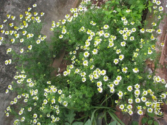 BigBull_BigBull_��Ƭ 026.jpg