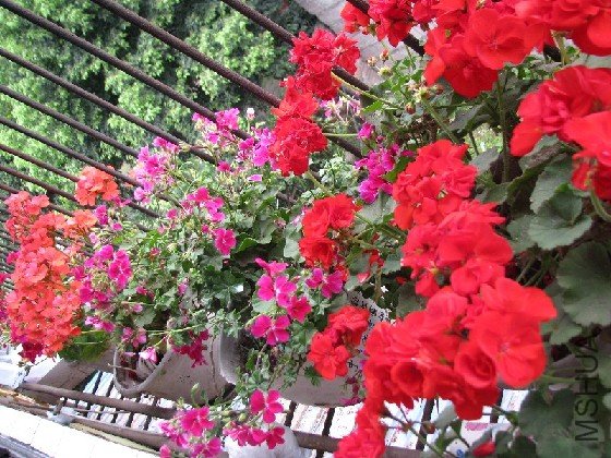 BigBull_BigBull_��Ƭ 089.jpg