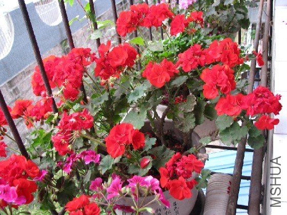 BigBull_BigBull_��Ƭ 087.jpg