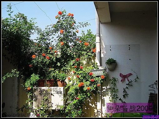 nEO_IMG_��Ƭ 048.jpg