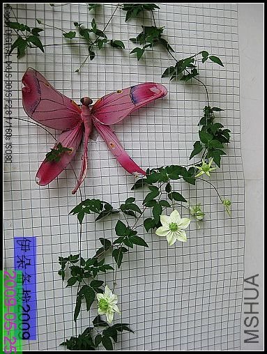 nEO_IMG_��Ƭ 020.jpg