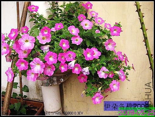 nEO_IMG_��Ƭ 019.jpg