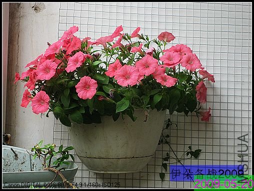 nEO_IMG_��Ƭ 015.jpg