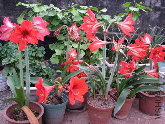 BigBull_BigBull_��Ƭ 166.jpg