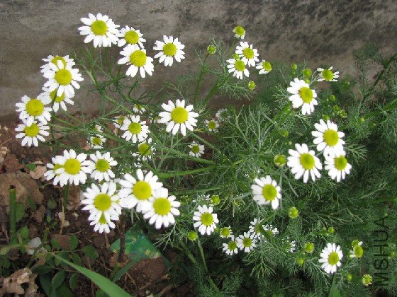 BigBull_BigBull_��Ƭ 192.jpg