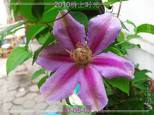 nEO_IMG_��Ƭ 016.jpg