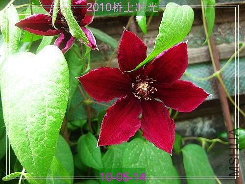 nEO_IMG_��Ƭ 123.jpg