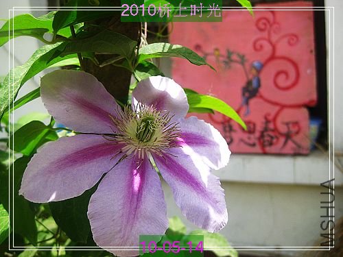 nEO_IMG_��Ƭ 128.jpg