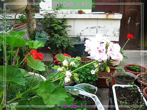 nEO_IMG_��Ƭ 087.jpg