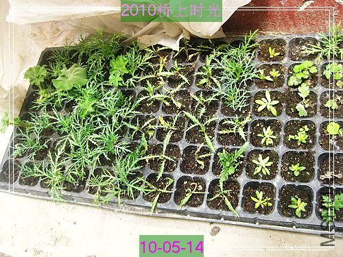 nEO_IMG_��Ƭ 132.jpg