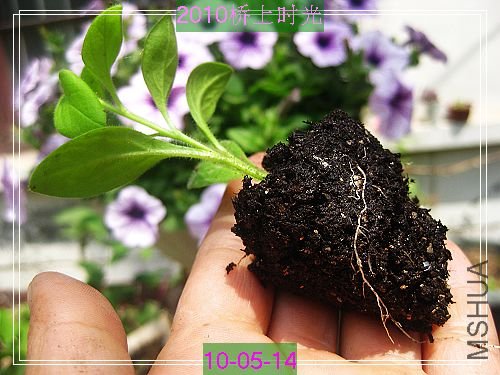 nEO_IMG_��Ƭ 116.jpg