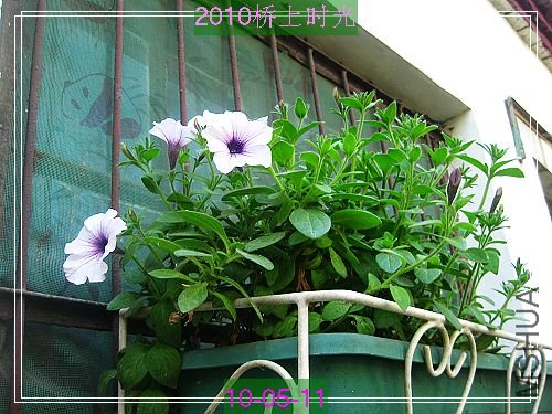 nEO_IMG_��Ƭ 086.jpg