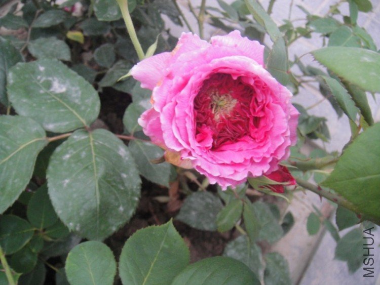 DSC02841.JPG