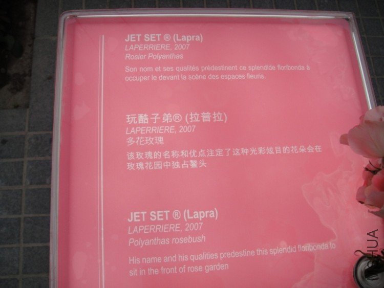DSC02848.JPG