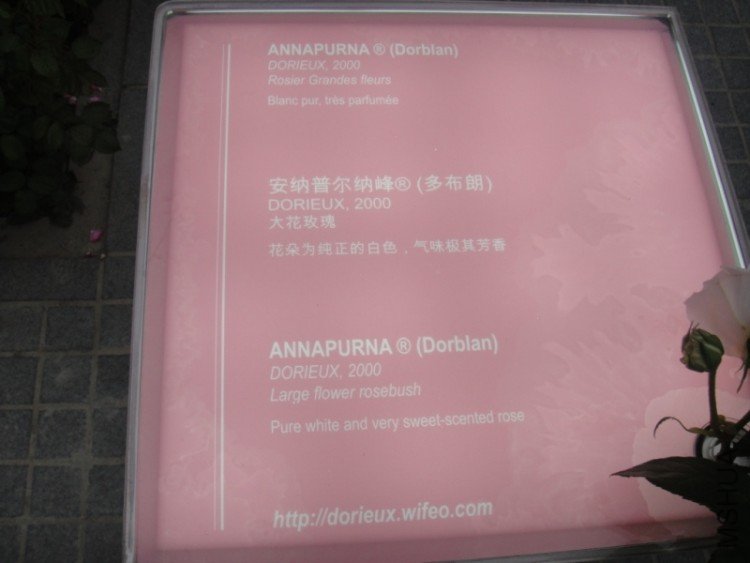 DSC02845.JPG