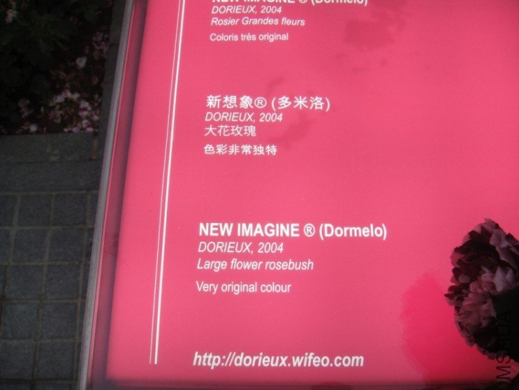 DSC02882.JPG