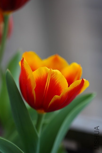 DPP_0010.jpg