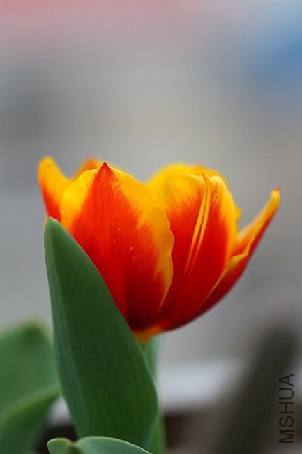 DPP_0012.jpg