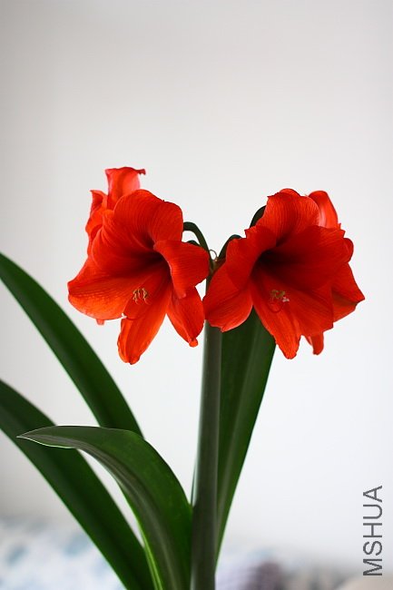 DPP_0127.jpg