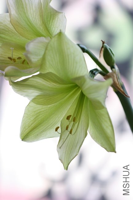 DPP_0077.jpg
