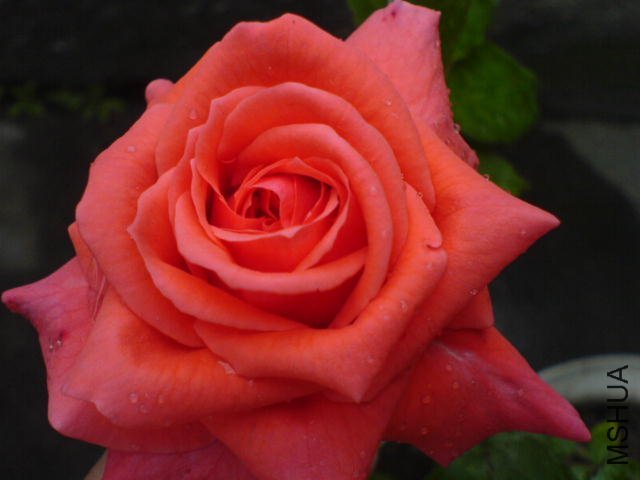 DSC03457.JPG