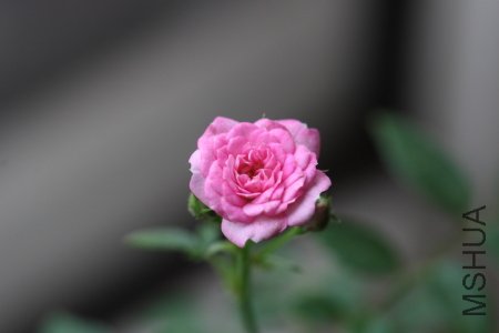 IMG_6175.JPG