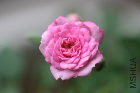 IMG_6178.JPG