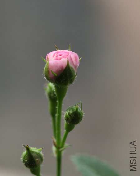 IMG_6142.JPG