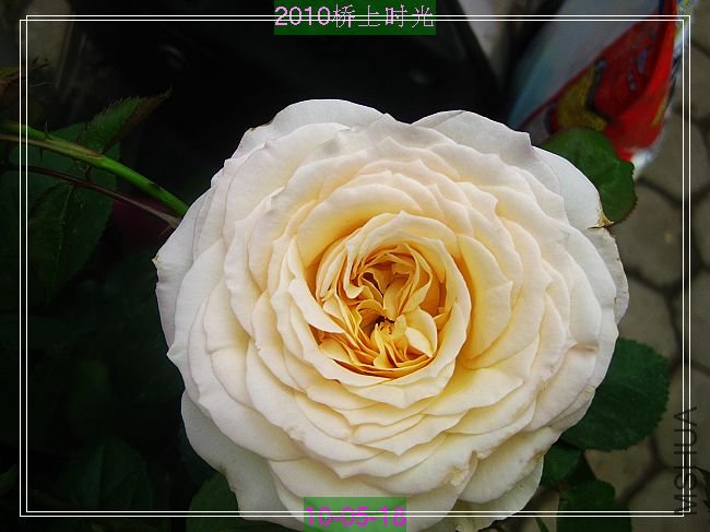 nEO_IMG_��Ƭ 004.jpg