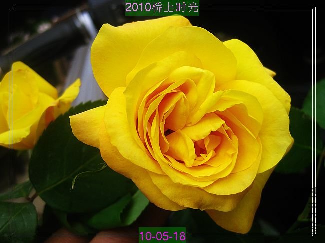 nEO_IMG_��Ƭ 005.jpg