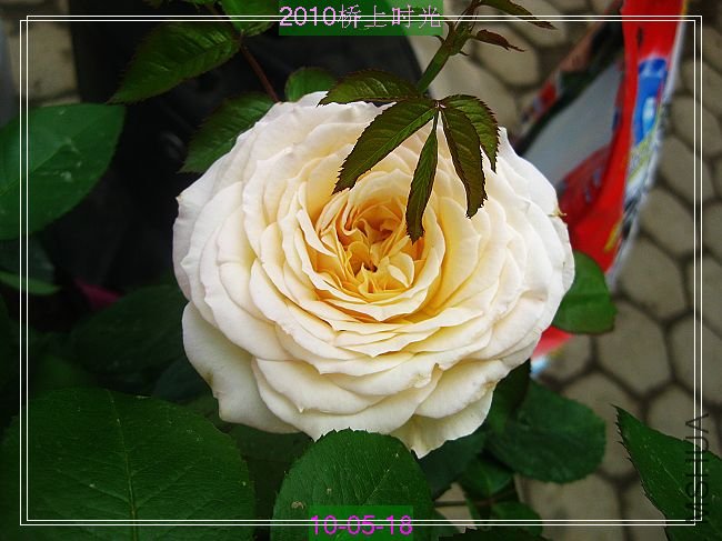 nEO_IMG_��Ƭ 003.jpg