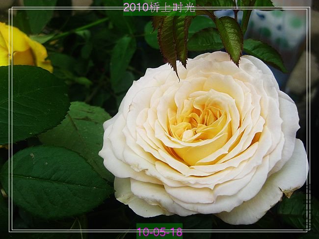 nEO_IMG_��Ƭ 009.jpg