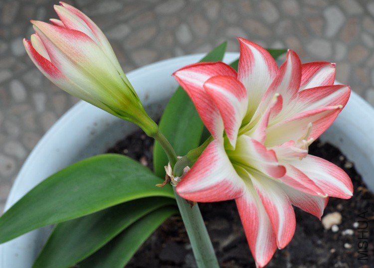 �����ȸ (24).jpg