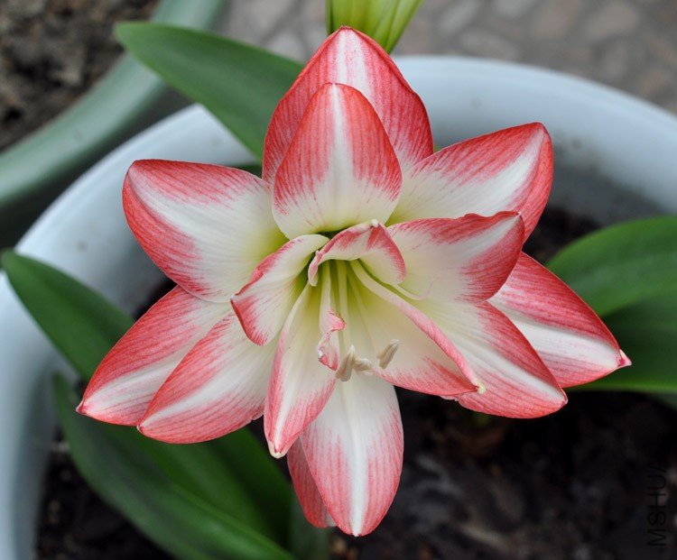 �����ȸ (23).jpg