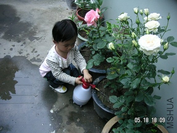 PICT5788.JPG