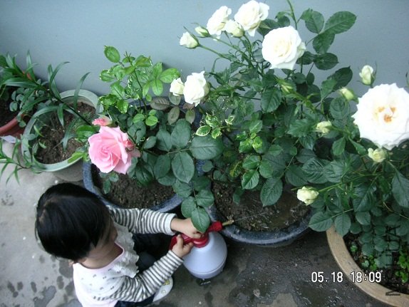 PICT5787.JPG