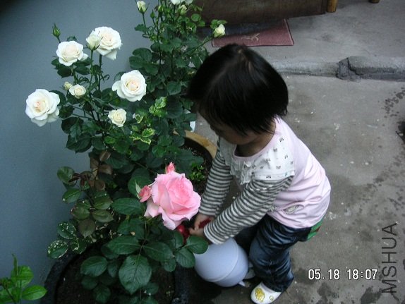 PICT5786.JPG