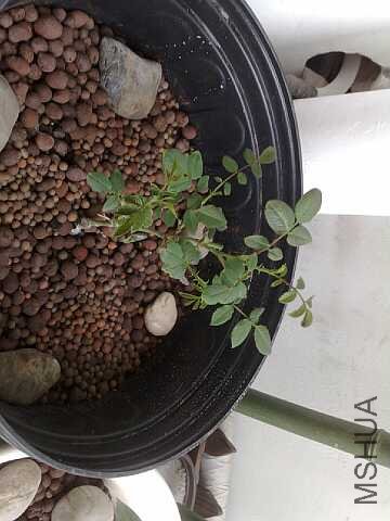20100519197-С.jpg