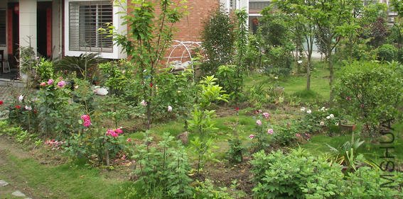 100_3396.jpg
