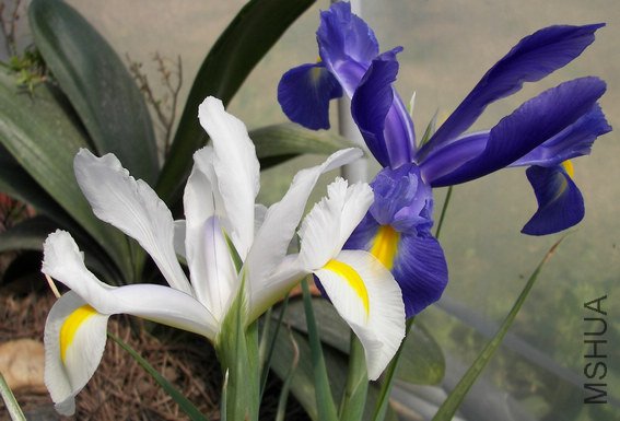 100_3167.jpg