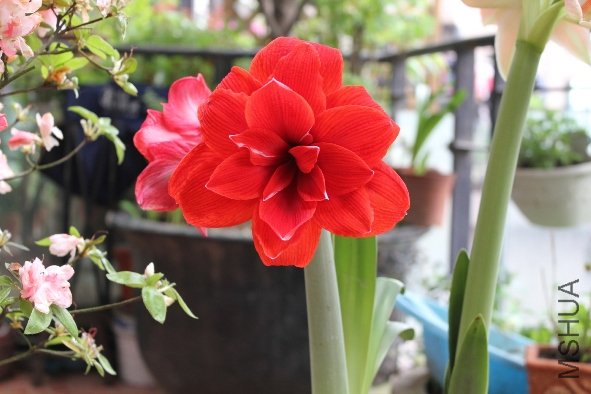 �¿���һ��