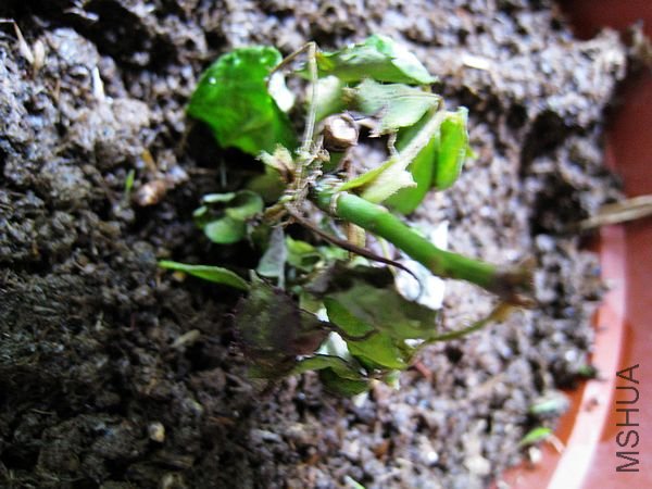 nEO_IMG_IMG_1698.jpg