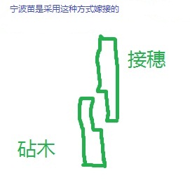 test.jpg
